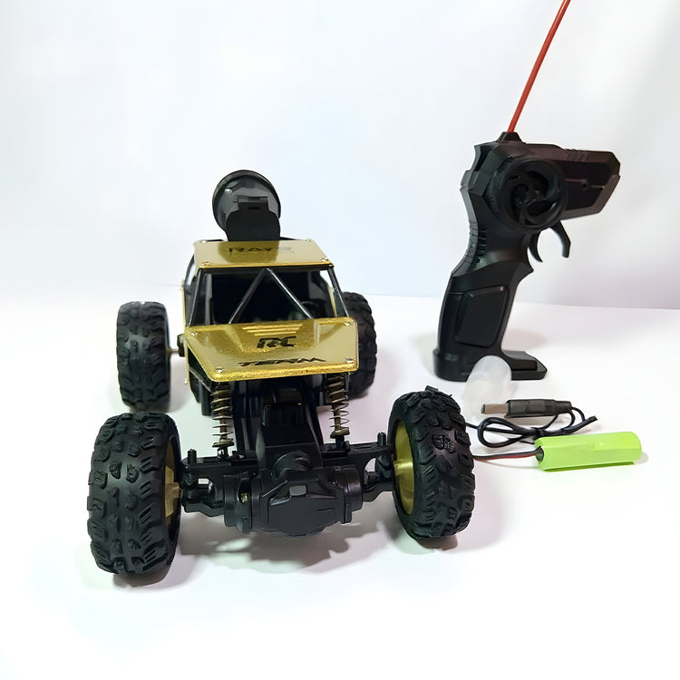 RC Rock Crawler 4x4 Monster Truck for Kids