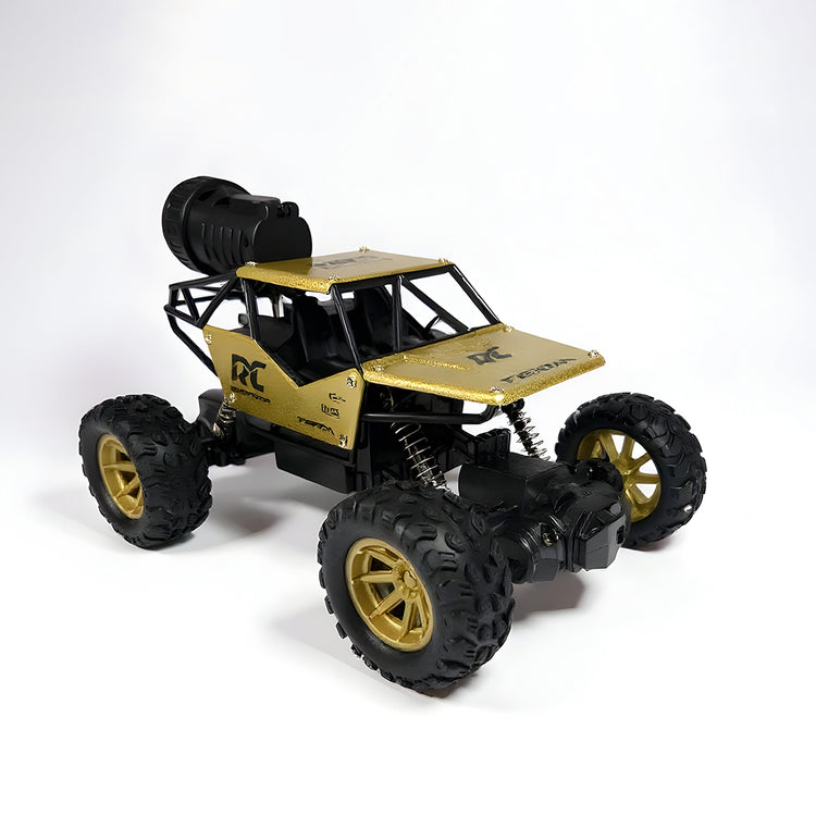 RC Rock Crawler 4x4 Monster Truck for Kids