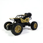 RC Rock Crawler 4x4 Monster Truck for Kids