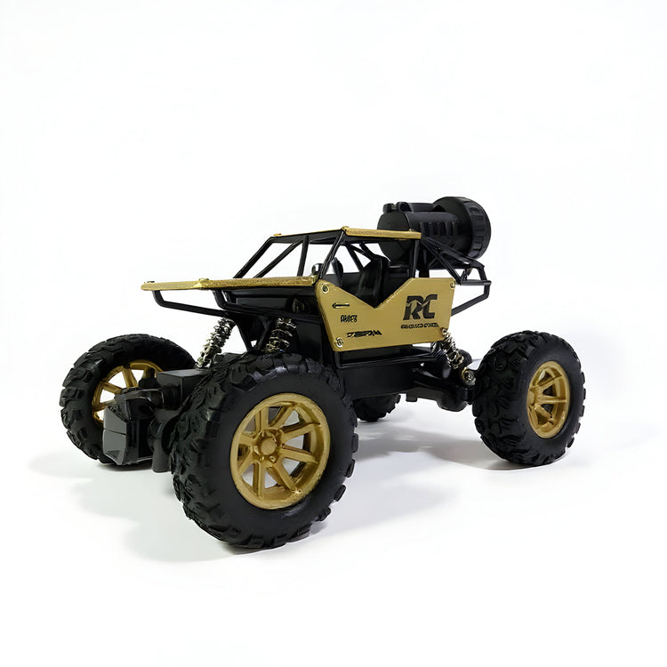 RC Rock Crawler 4x4 Monster Truck for Kids