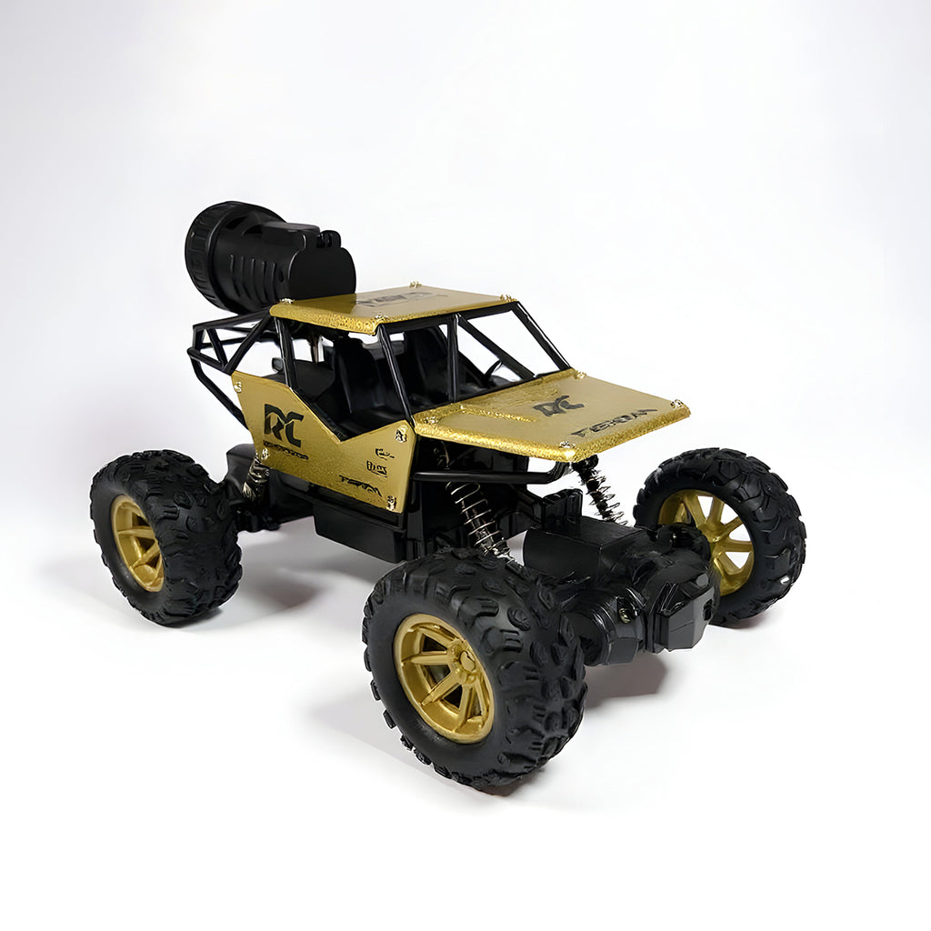 RC Rock Crawler 4x4 Monster Truck for Kids